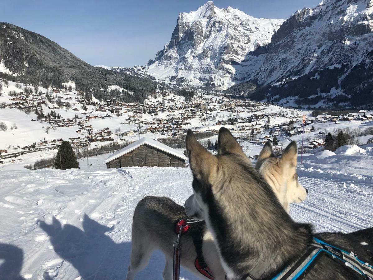 Chalet Carve - Apartments Eiger, Moench And Jungfrau Grindelwald Exterior foto