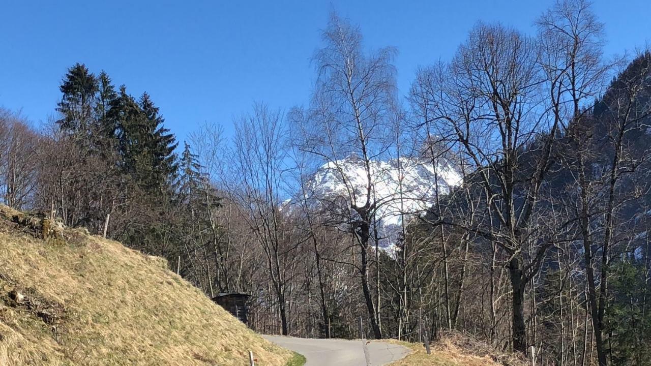 Chalet Carve - Apartments Eiger, Moench And Jungfrau Grindelwald Exterior foto